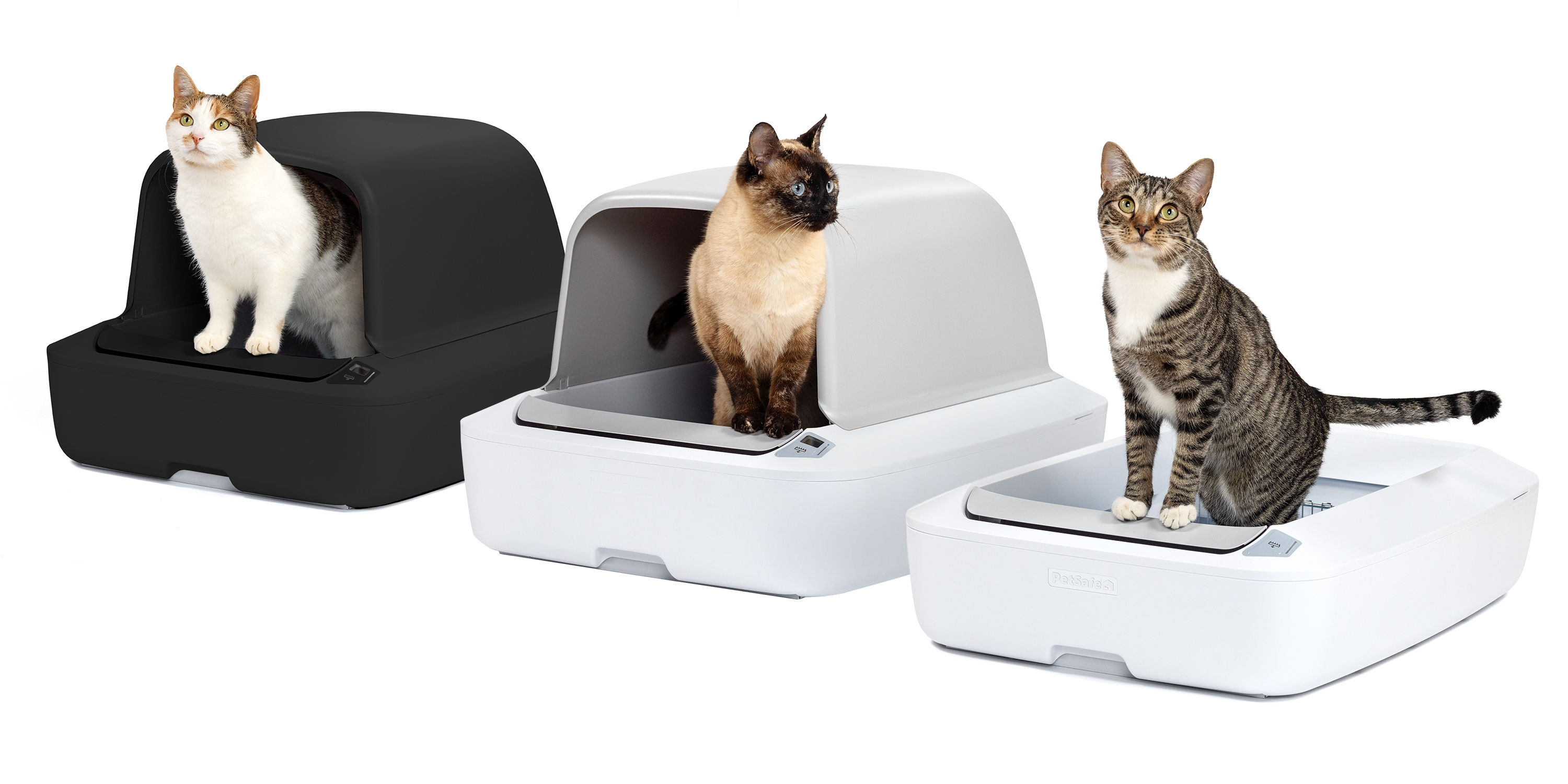 ScoopFree Company Values